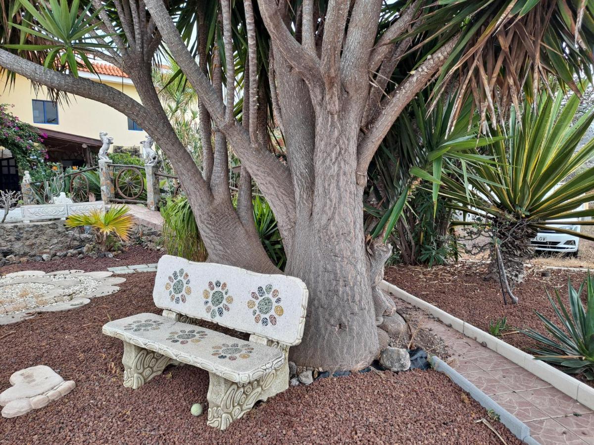Tenerife Apartment 100M2 Casa De Don Quijote With A Terrace Of 100M2 With A View Of The Ocean And Teide Volcano And A Garden Of 600M2 Icod De Los Vinos Exterior foto