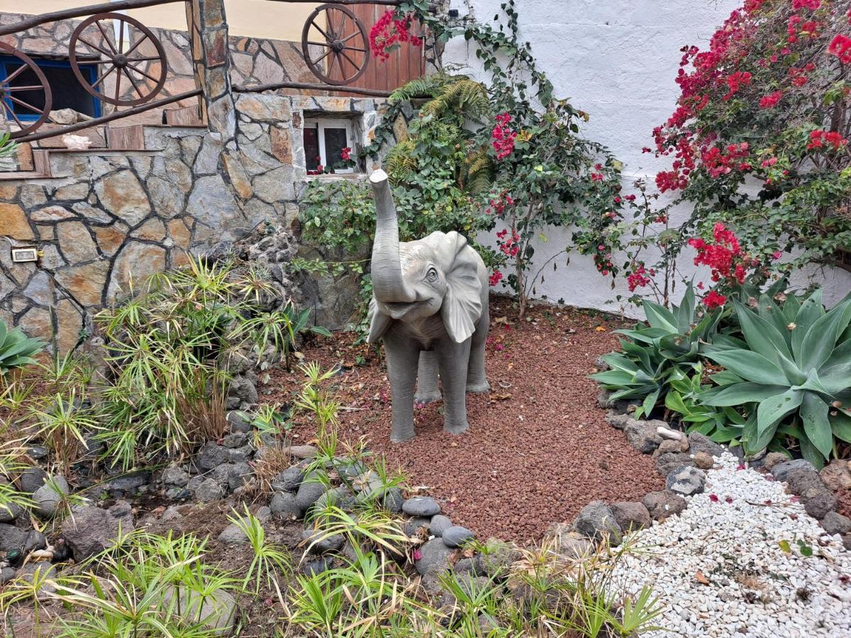 Tenerife Apartment 100M2 Casa De Don Quijote With A Terrace Of 100M2 With A View Of The Ocean And Teide Volcano And A Garden Of 600M2 Icod De Los Vinos Exterior foto